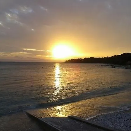 Studio In With Balcony, Wifi, Washing Machine Lejlighed Rovinj